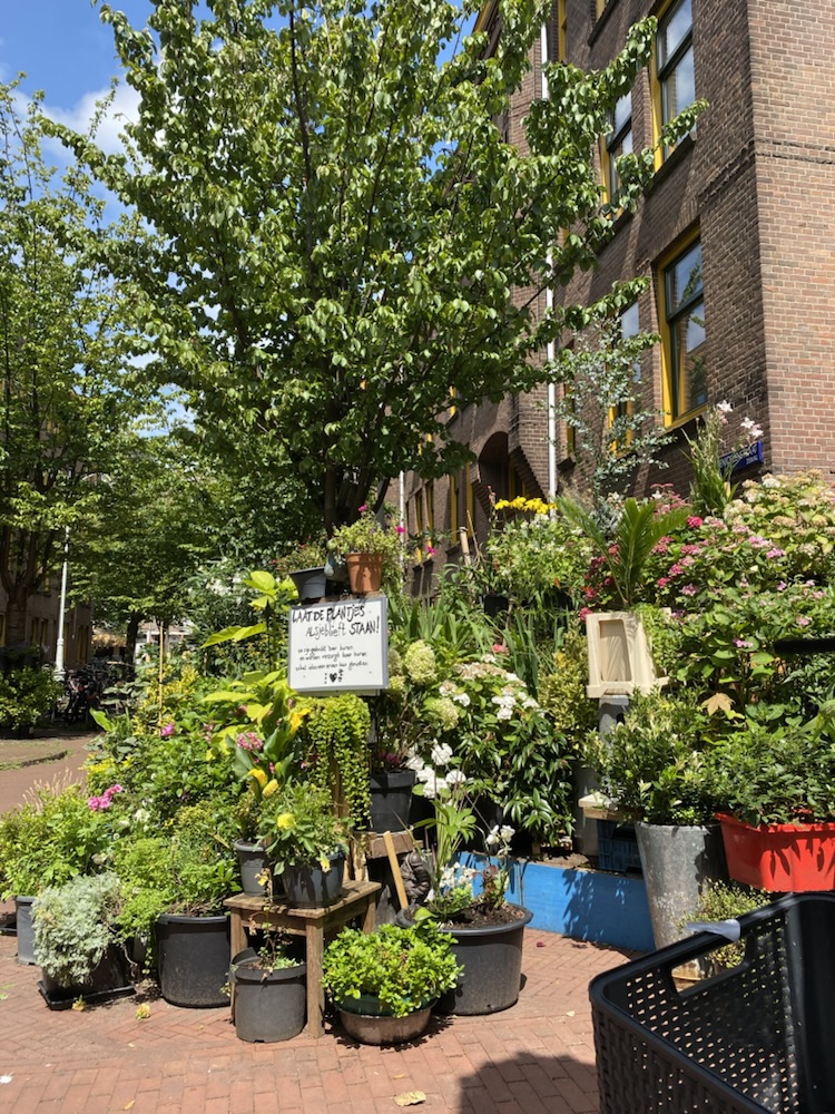 Sidewalk plant stall beneath a tree in Amsterdam, with a hand-lettered sign protesting the city’s attempt to remove the plants